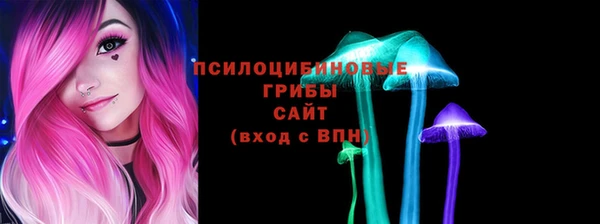 стафф Алзамай
