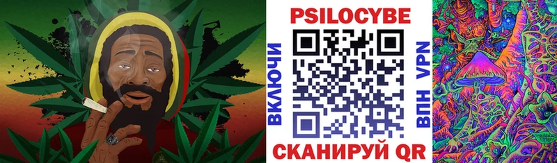 KRAKEN маркетплейс  Электрогорск  Псилоцибиновые грибы Cubensis 